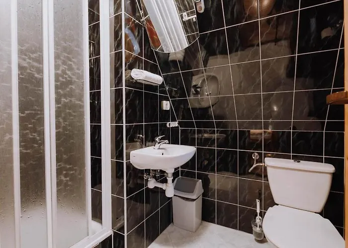 בית אירוח Zoja זקופאנה